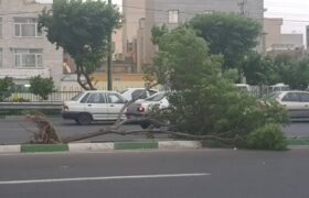 ۷ مصدوم در طوفان شب گذشته تهران