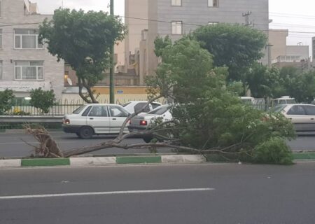 سرعت طوفان تهران به ۱۰۸ کیلومتر بر ساعت رسید