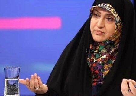 رفیعی: کلیات طرح کنترل فرونشست زمین در کمیسیون کشاورزی تصویب شد