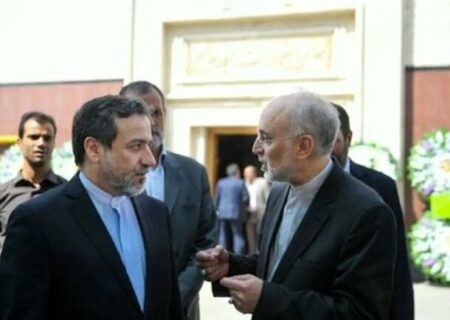 صالحی: همه ما در کنار دکتر عراقچی سرباز ایران خواهیم ماند