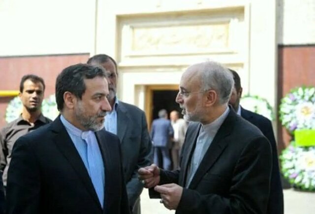 صالحی: همه ما در کنار دکتر عراقچی سرباز ایران خواهیم ماند