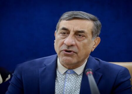 قائم پناه: دولت برای رفع مشکلات کشور برنامه‌ دارد