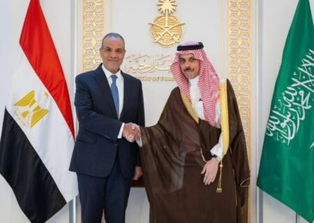 وزرای امور خارجه مصر و عربستان درباره تحولات منطقه و جنگ غزه گفتگو کردند