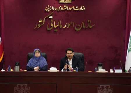 مهاجرانی: برای کسانی که مالیات خود را به موقع می‌پردازند از ابزارهای تشویقی استفاده شود