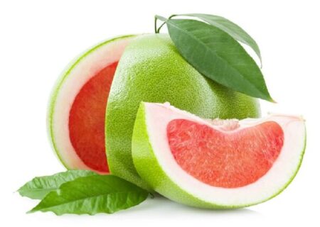 تبدیل ضایعات میوه «دارابی» به فناوری تولید برق