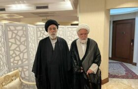 دیدار سیدهادی خامنه‌ای با مهدی کروبی