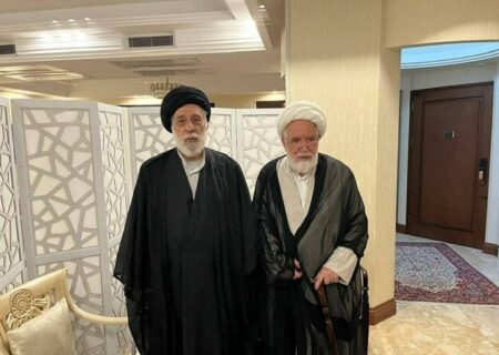 دیدار سیدهادی خامنه‌ای با مهدی کروبی