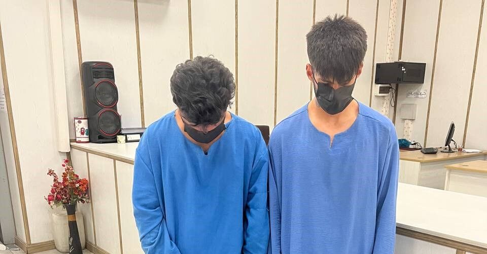 سارقان خشن تلفن همراه دانشجوی دانشگاه شهید بهشتی دستگیر شدند