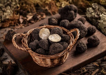 شناسایی و انهدام باند قاچاقچیان حرفه‌ای «قارچ ترافل» در نکا