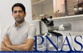 مقاله استاد دانشگاه شریف در معتبرترین مجله آکادمی ملی علوم آمریکا منتشر شد