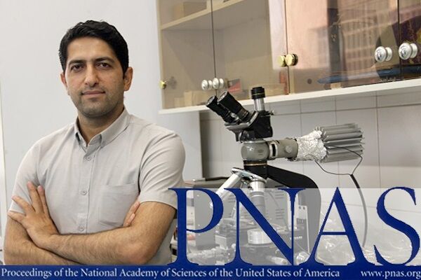 مقاله استاد دانشگاه شریف در معتبرترین مجله آکادمی ملی علوم آمریکا منتشر شد