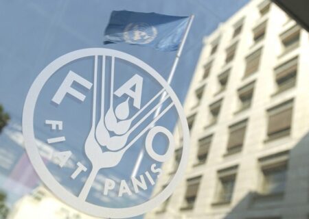 حق رای ایران در فائو پس از ۱۵ سال احیا شد