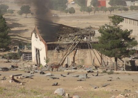 حدود ۶۰ راس اسب در حمله رژیم صهیونیستی به دهکده المپیک کرمانشاه تلف شد