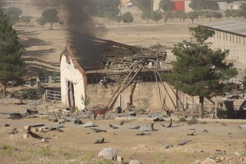 حدود ۶۰ راس اسب در حمله رژیم صهیونیستی به دهکده المپیک کرمانشاه تلف شد