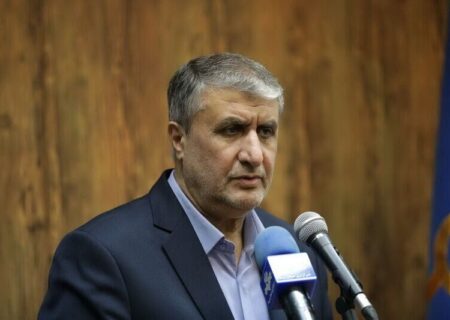 رئیس‌ سازمان انرژی اتمی: سفر به روسیه، سازنده بود