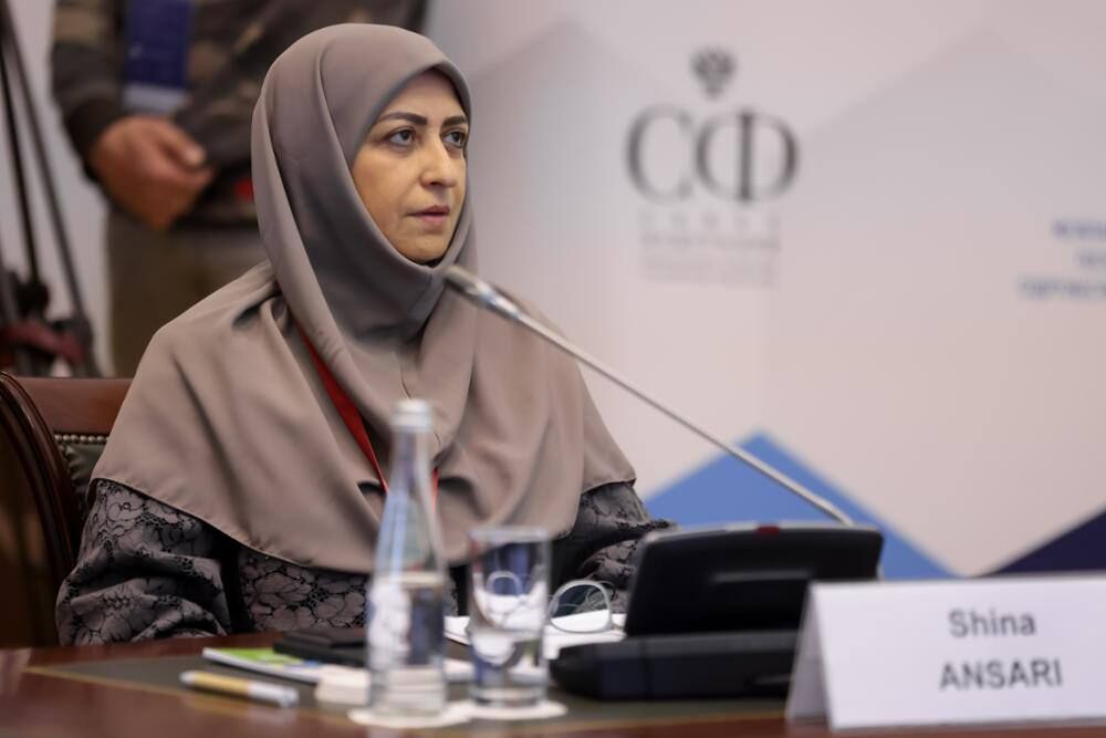 انصاری: تلاش مدافعان طبیعت در ۱۲ روز جنگ ستودنی بود