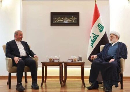 قدردانی سفیر ایران از حمایت مرجعیت شیعه و ملت عراق