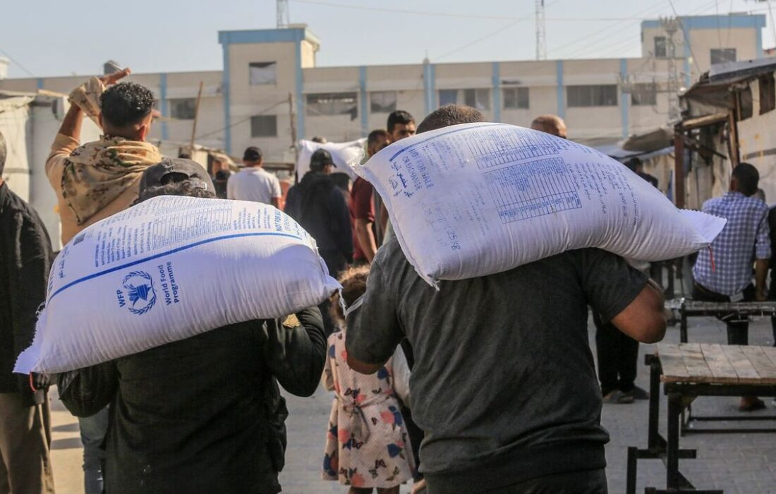 وجود مواد مخدر در آرد