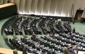 نمایندگان مجلس، مصوبه ساماندهی پرندههای هدایت پذیر را اصلاح کردند