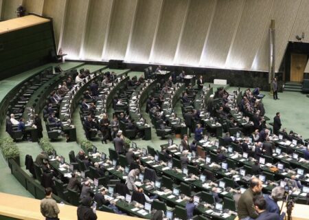 نمایندگان مجلس، مصوبه ساماندهی پرنده‌های هدایت پذیر را اصلاح کردند