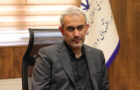 ایده ارزی وزیر اقتصاد