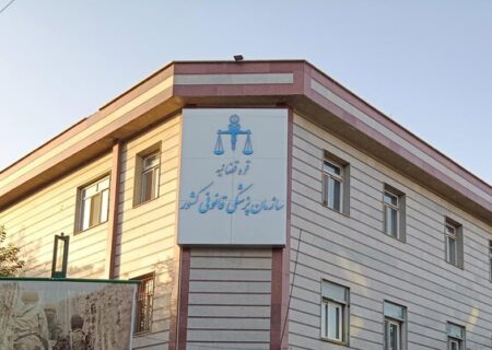 سالانه بیش از ۱۰۰ هزار پرونده روانپزشکی در سازمان پزشکی قانونی کشور بررسی می شود