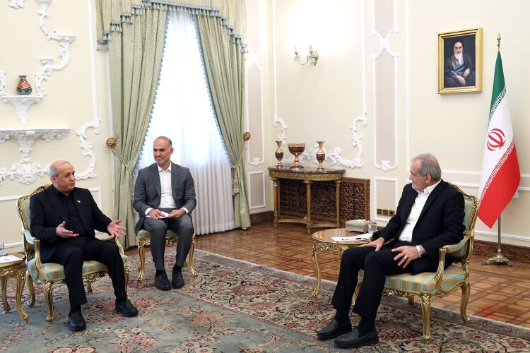 پزشکیان: بکارگیری تمام ظرفیتهای دیپلماتیک برای توقف جنایتهای صهیونیستها ادامه دارد