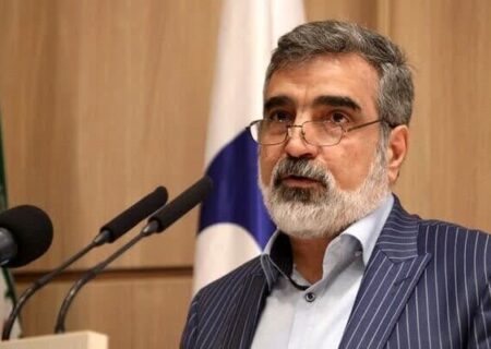 کمالوندی: بازرسان آژانس بر تعویض سوخت نیروگاه اتمی بوشهر نظارت می‌کنند