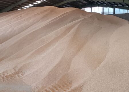 نوری: قیمت گندم به‌زودی ابلاغ می‌شود