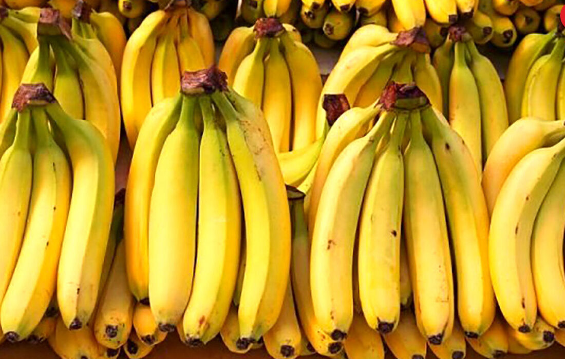 شرایط واردات موز در برابر صادرات برخی اقلام میوه اعلام شد/ هر ۱.۵ کیلو سیب، یک کیلو موز