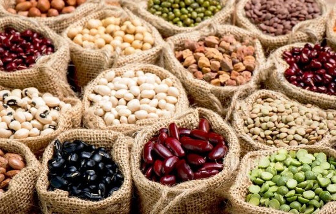 صادرات حبوبات ممنوع شد