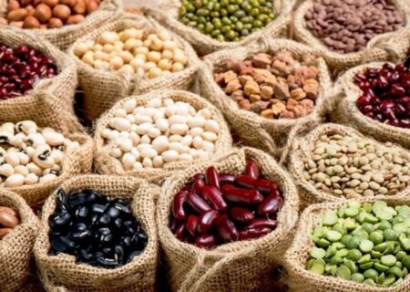 صادرات حبوبات ممنوع شد