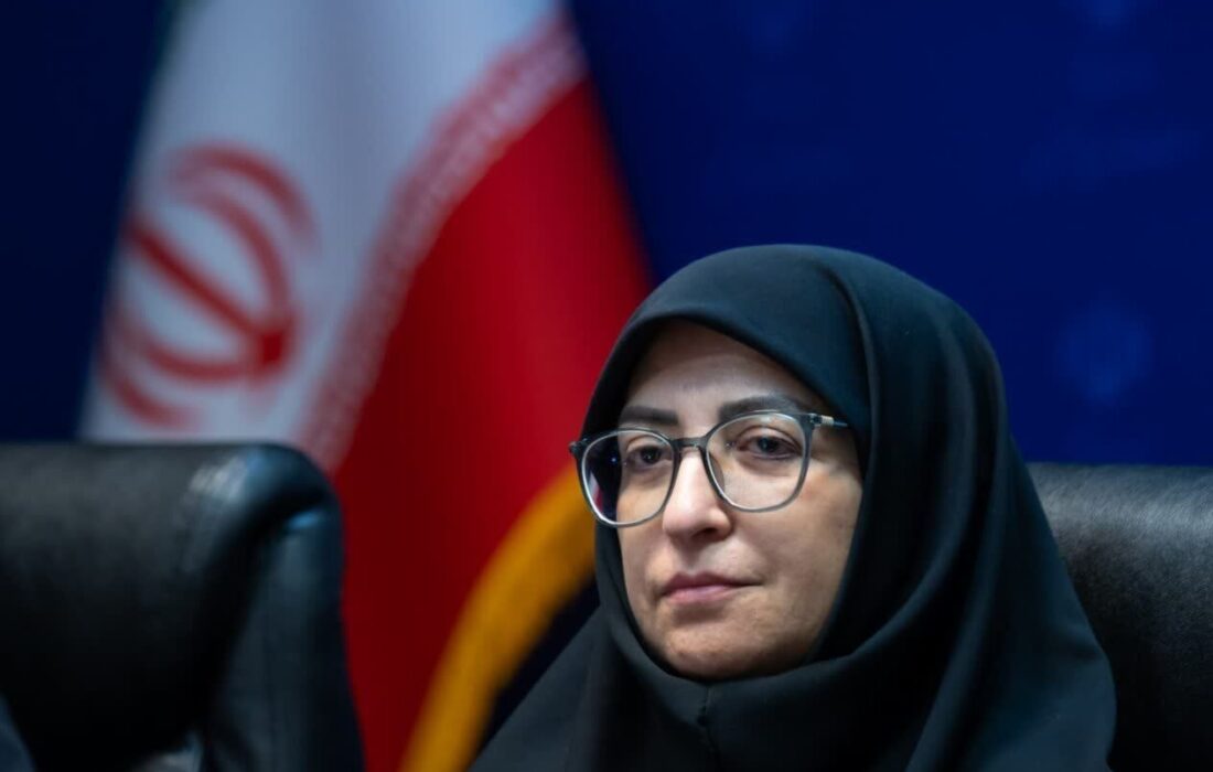 انصاری: تخصیص عوارض آلایندگی به صندوق محیط زیست پیگیری میشود