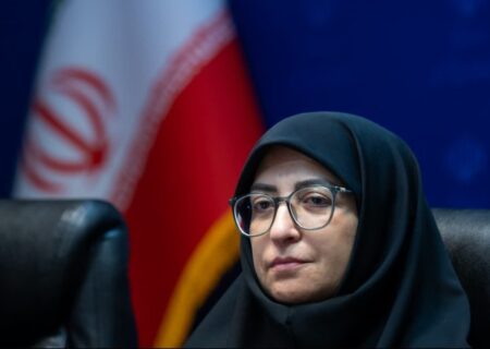 انصاری: تخصیص عوارض آلایندگی به صندوق محیط زیست پیگیری می‌شود