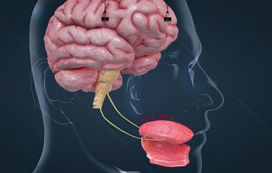دقت بالای زبان مصنوعی در تشخیص مزهها
