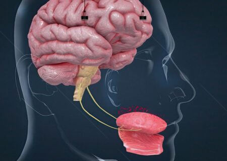 دقت بالای زبان مصنوعی در تشخیص مزه‌ها