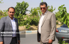 تحقق شهر سبز در سایه خودکفایی تولید گل‌های زینتی