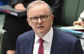 استرالیا: ادعای در غزه گرسنگی وجود ندارد، باور کردنی نیست