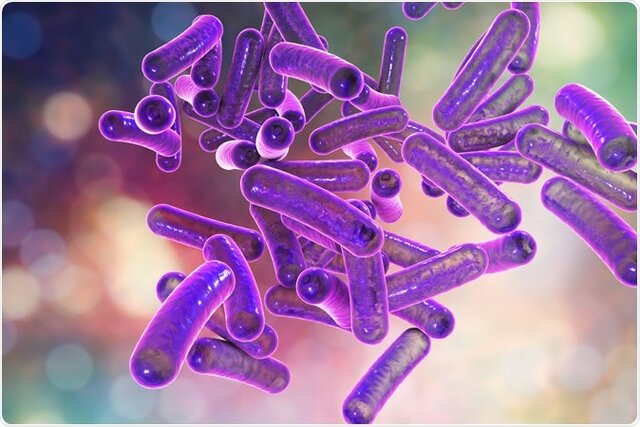 اسهال خونی چیست؟