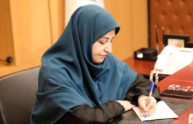 انصاری: رسانه‌ها، شریک اجتماعی حفاظت از محیط‌زیست هستند