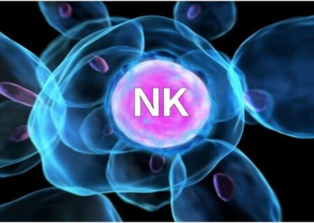 «سلول‌های NK» گزینه‌ای نوین و هوشمند با کارایی بالا و هزینه پایین در مبارزه با سرطان