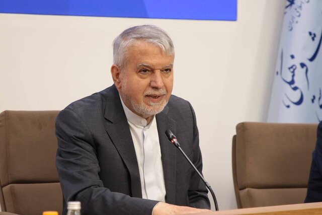 صالحی امیری: ۲۷ اختیار وزارت میراث فرهنگی به استانداران تفویض شد