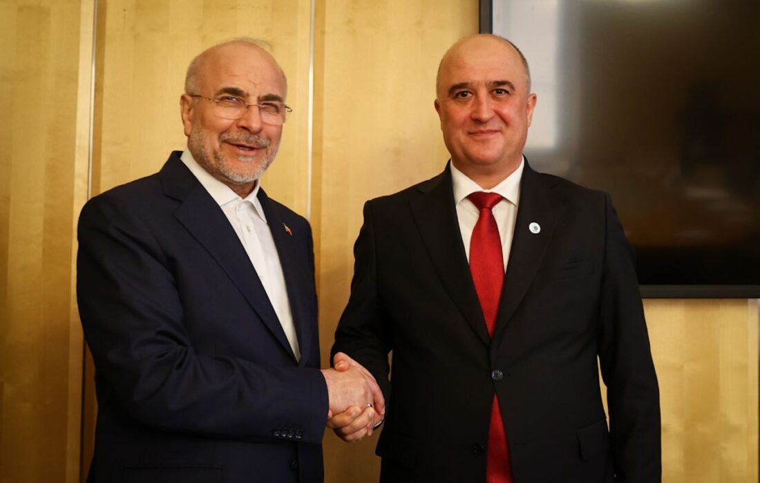 دیدار روسای مجالس ایران و تاجیکستان در ژنو