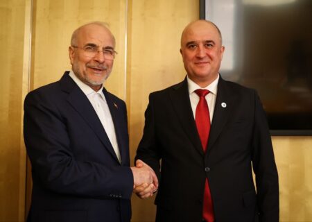 دیدار روسای مجالس ایران و تاجیکستان در ژنو