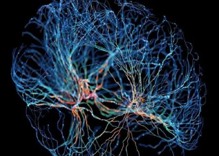 آیا می‌توان خاطرات را پس از مرگ نگهداری کرد؟