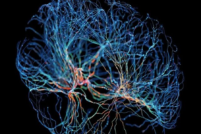 آیا می‌توان خاطرات را پس از مرگ نگهداری کرد؟