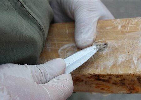 کشف محموله کوکائین‌ جاساز شده در بارِ موز در سوپرمارکت‌های دانمارک