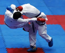 ۱۳ نفر ار نامزدهای احراز پست ریاست فدراسیون کاراته، تایید صلاحیت شدند