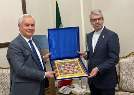 دیدار سفیر تاجیکستان در تهران با سخنگوی وزارت امور خارجه