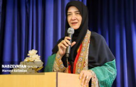 باغبادران ظرفیت تبدیل شدن به شهر ملی صنایع دستی را دارد